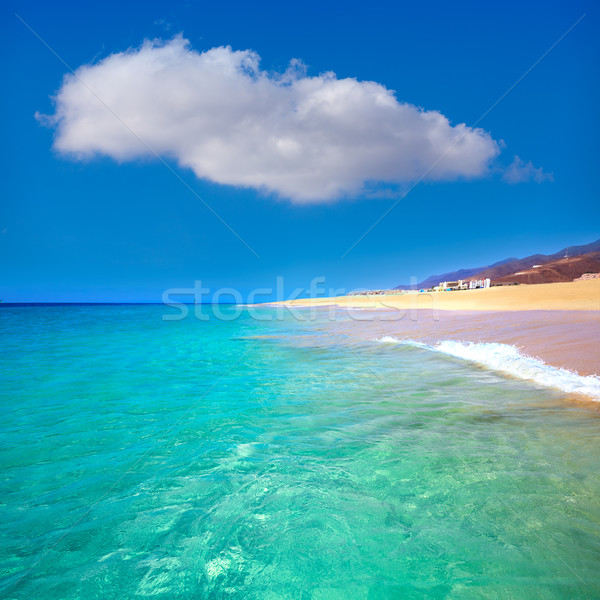 Morro Jable Matorral beach Jandia in Fuerteventura Stock photo © lunamarina
