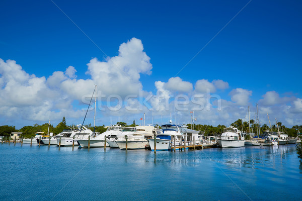 Key West Florida marina Garrison Bight Florida Stock photo © lunamarina
