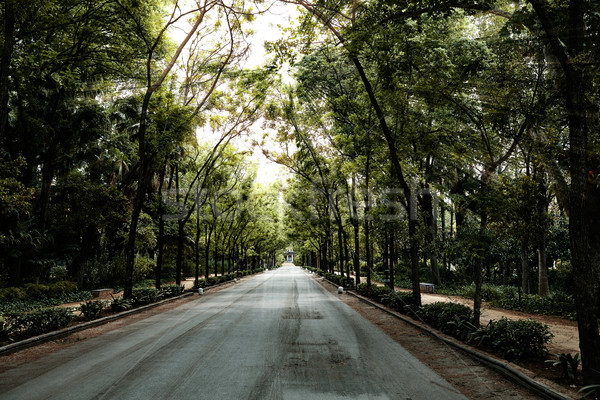 Foto stock: Parque · jardins · Espanha · andaluzia · cidade · natureza