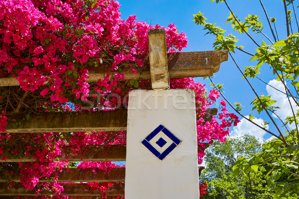 Parc jardins Espagne andalousie printemps bâtiment [[stock_photo]] © lunamarina