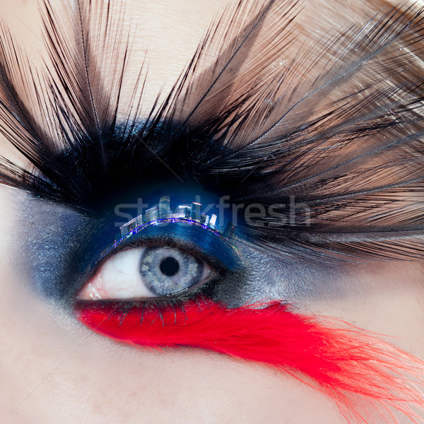 Zwarte vogel vrouw oog make-up macro nacht Stockfoto © lunamarina