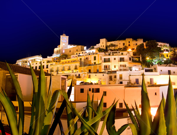 Ibiza Dalt Vila downtown in night lights Stock photo © lunamarina