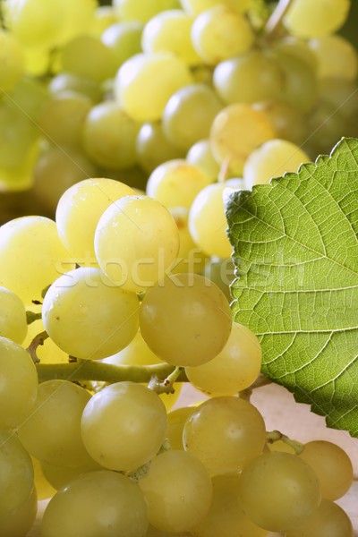 Foto stock: Delicioso · amarelo · outono · uva · fruto · macro
