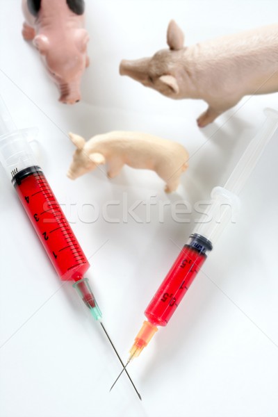 豬 流感 甲型h1n1流感 疫苗 比喻 玩具 商業照片 © lunamarina