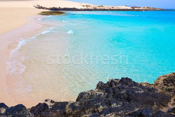 Stock photo: Corralejo Beach Fuerteventura at Canary Islands