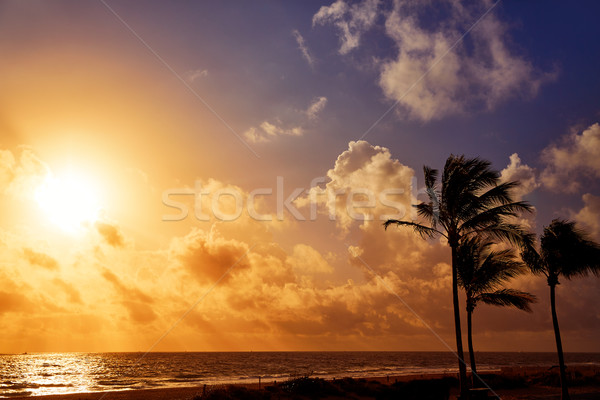 Fort lauderdale spiaggia sunrise Florida mattina USA Foto d'archivio © lunamarina