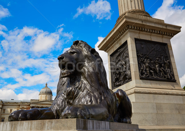 London Trafalgar Square Lion in UK Stock photo © lunamarina