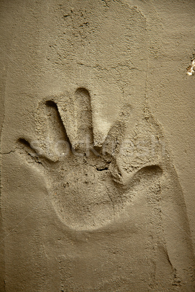 hand print on cement mortar wall Stock photo © lunamarina