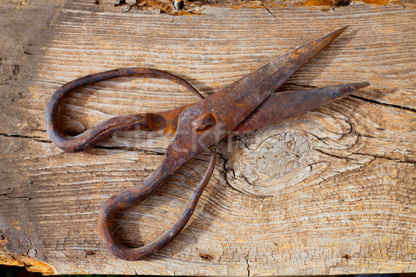 Antique sheep wool shears scissors vintage rusted Stock photo © lunamarina
