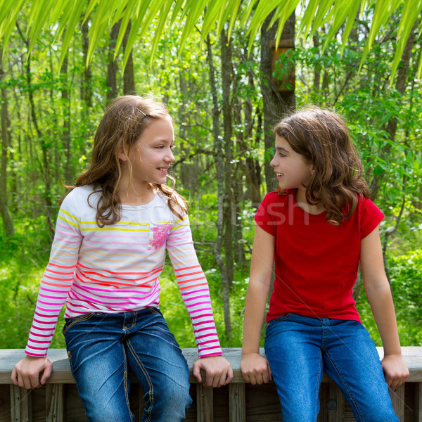 children friend girls talking on the jungle park forest Stock photo © lunamarina