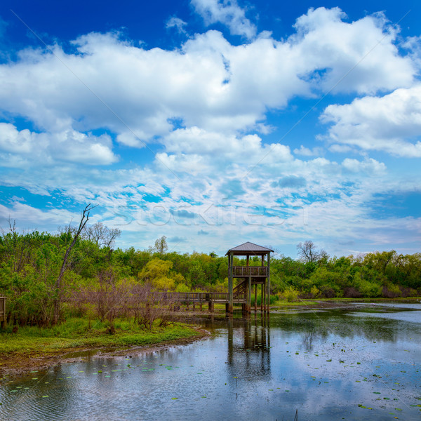 White Lake at Cullinan Park in sugarland Texas Stock photo © lunamarina