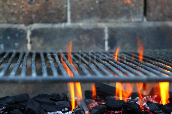Bar b cue barbecue fire BBQ coal fire iron grill Stock photo © lunamarina