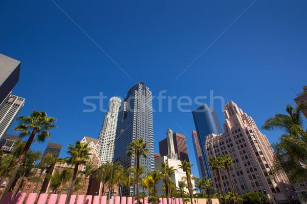 Stock foto: Innenstadt · Los · Angeles · Platz · Palmen · Business