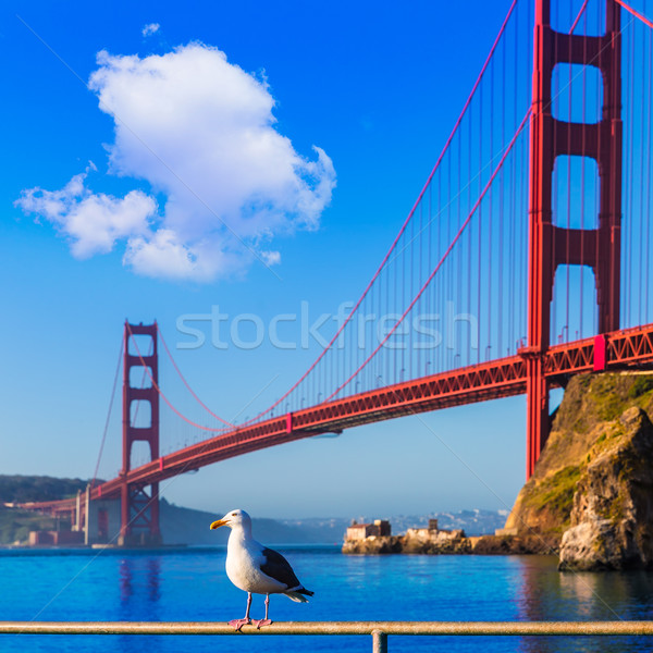 San Francisco Golden Gate híd sirály Kalifornia USA kék Stock fotó © lunamarina