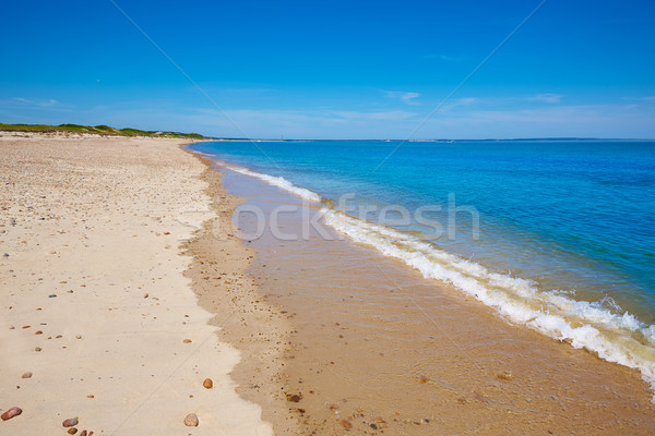 Sandigen Hals Strand Massachusetts USA Stock foto © lunamarina