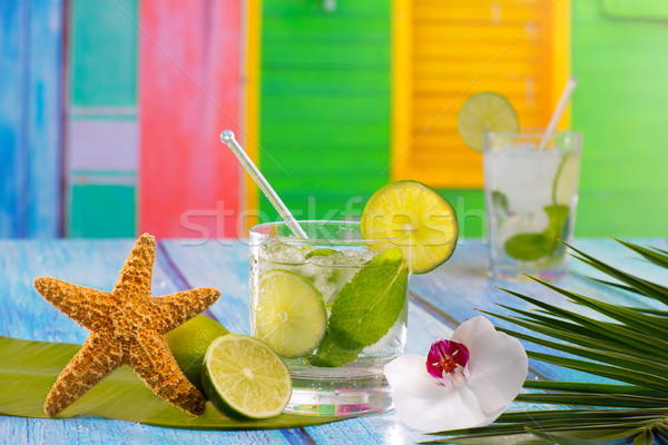 Kubai mojito koktél trópusi kék fa Stock fotó © lunamarina