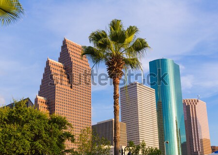 Stockfoto: Houston · skyline · noorden · Texas · palmbomen