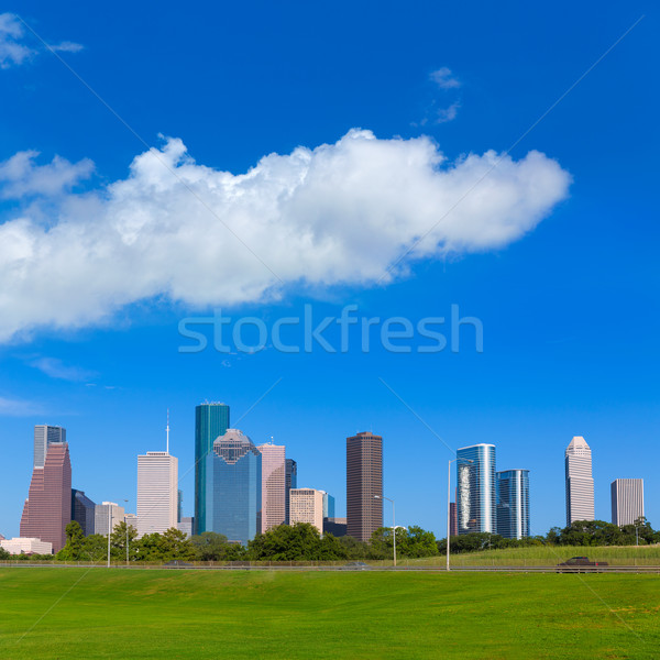 Houston panoramę Błękitne niebo parku Texas Zdjęcia stock © lunamarina