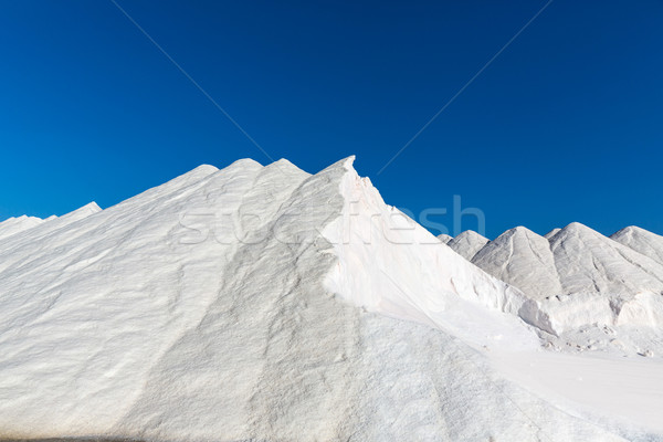 Mallorca Ses Salines Es Trenc Estrenc saltworks Stock photo © lunamarina