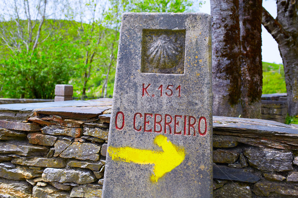 Mod galicia semna Spania piatră Imagine de stoc © lunamarina