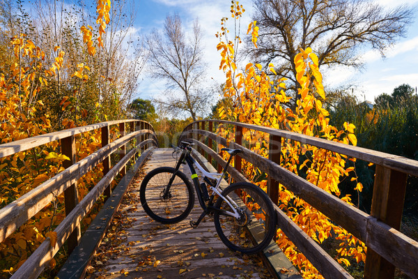 Stockfoto: Najaar · zonsondergang · fiets · brug · vallen · hout