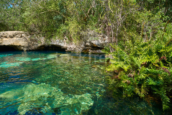 Cenote in Riviera Maya of Mayan Mexico Stock photo © lunamarina