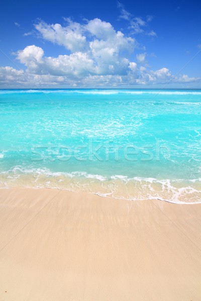 [[stock_photo]]: Caraïbes · turquoise · plage · parfait · mer