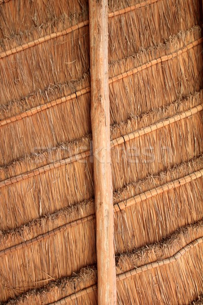 palapa tropical Mexico wood cabin roof detail Stock photo © lunamarina