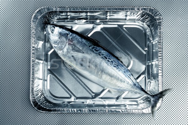 little tunny, tuna, alby, albacore, silver color. Stock photo © lunamarina