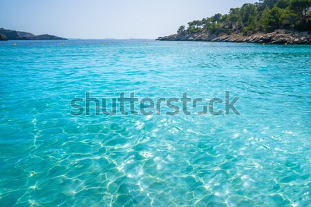 Foto stock: Praia · mallorca · ilha · Espanha · paisagem · oceano
