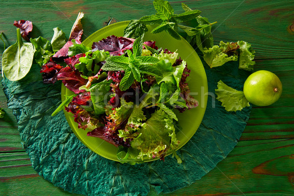 Fresh green salad with spinach lettuce Stock photo © lunamarina