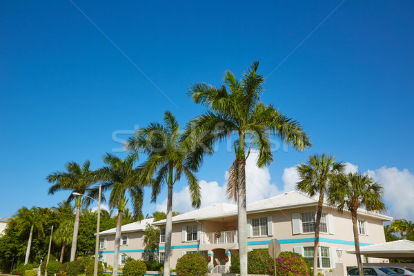 Stockfoto: Strand · Florida · USA · palmbomen · straat · natuur