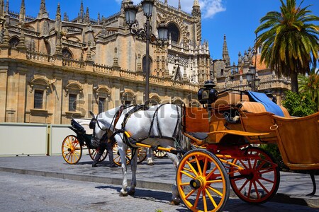 Seville Sevilla Plaza de Espana carriage Spain Stock photo © lunamarina