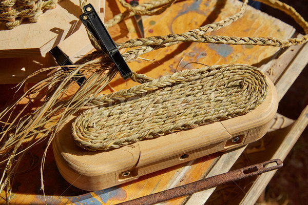 Esparto halfah grass used for crafts basketry Stock photo © lunamarina