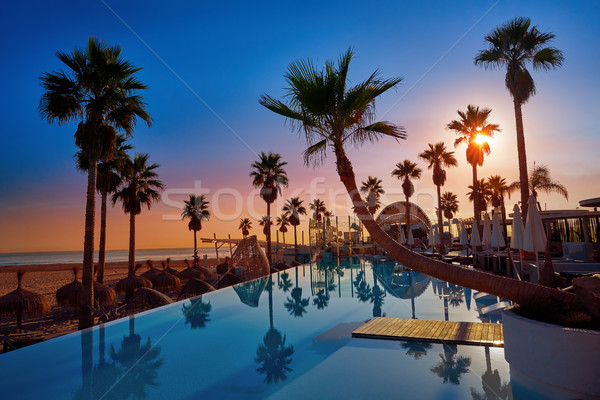 Resort pool in a beach with palm trees sunrise Stock photo © lunamarina