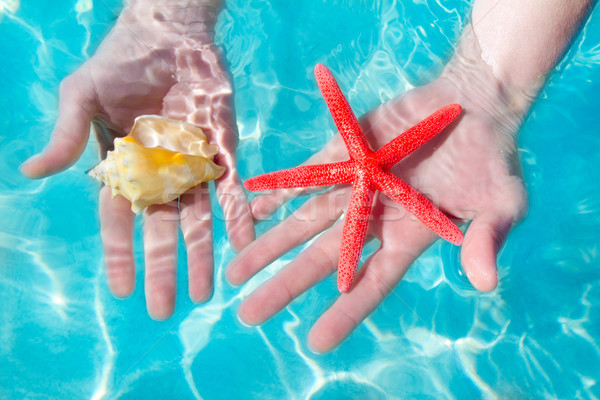 Foto stock: Mãos · starfish · concha · tropical · água