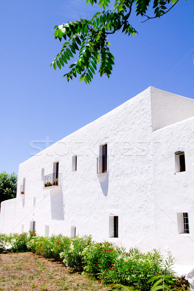 Stock photo: Ibiza white church in Sant Carles Peralta