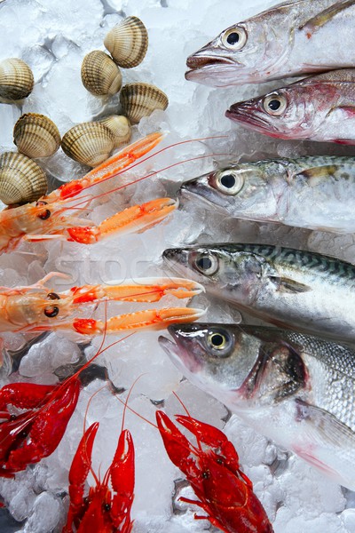 Foto stock: Frutos · do · mar · mercado · gelo · cavala · peixe · restaurante