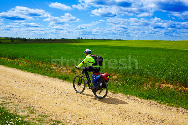 Biker on The Way of Saint James in Castilla Leon Stock photo © lunamarina