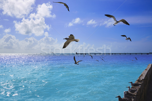 Key west florida beach Clearence S Higgs Stock photo © lunamarina
