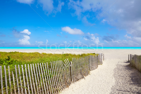 Miami zuiden strand entree Florida USA Stockfoto © lunamarina