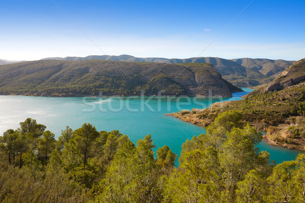 болото водохранилище Валенсия Испания лес свет Сток-фото © lunamarina