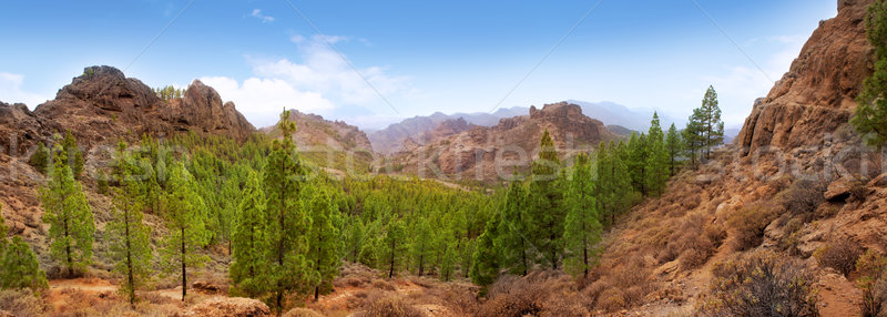 Gran Canaria Tejeda La culata mountains Stock photo © lunamarina