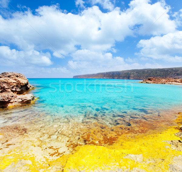 Es Calo de San Agusti in Formentera Balearic Stock photo © lunamarina