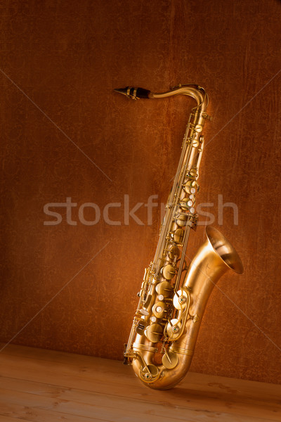 Sax golden tenor saxophone vintage retro Stock photo © lunamarina
