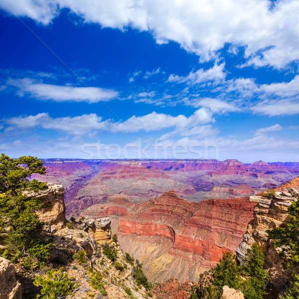 Arizona Grand Canyon Park Mutter Punkt Amphitheater Stock foto © lunamarina