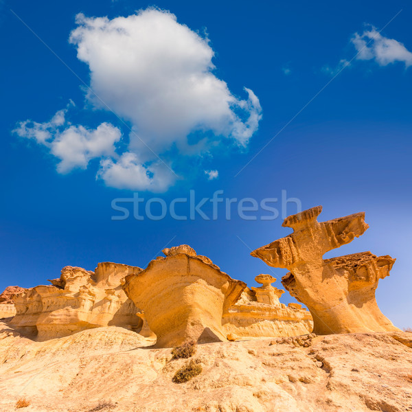 Bolnuevo Mazarron eroded sandstones Murcia Stock photo © lunamarina