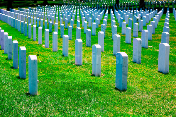 Begraafplaats Washington DC Virginia Verenigde Staten gras groene Stockfoto © lunamarina