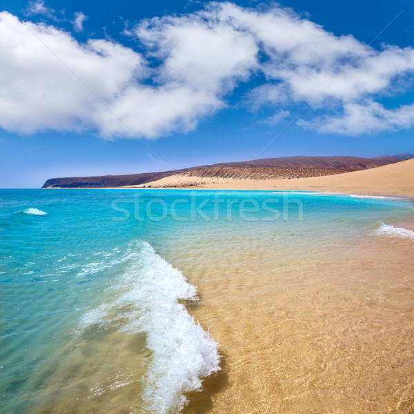 Jandia beach Risco el Paso Fuerteventura Stock photo © lunamarina