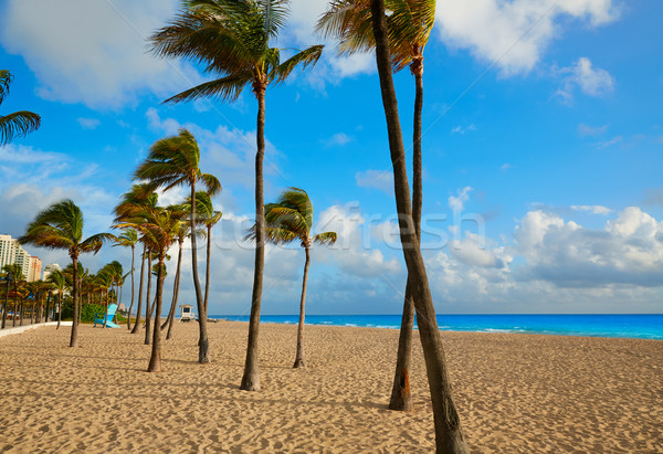 Fort lauderdale spiaggia sunrise Florida mattina USA Foto d'archivio © lunamarina